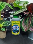 nawóz płynny ASTVIT 0,5l