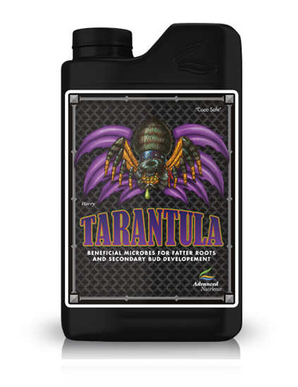TARANTULA - stymulator wzrostu