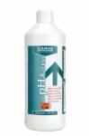 Canna pH plus 20% 