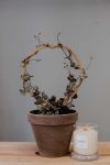 Podpórka HOYA z PLA - bamboo