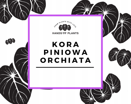 Kora piniowa ORCHIATA 4-6mm - 5 L