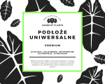 FINAL - naklejka podłoża - aglaonema alocasia_FINAL.png