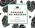 Podłoże do araceae