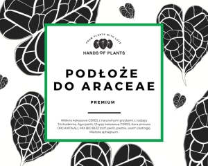 Podłoże dla araceae