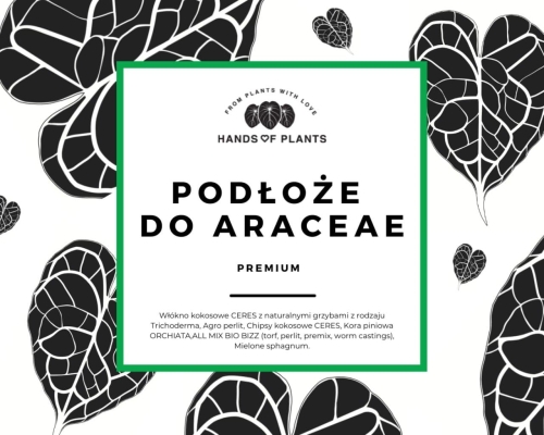 Podłoże dla araceae