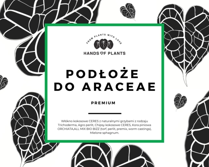 Podłoże do araceae