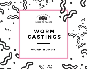 Worm castings, worm humus