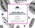 Podłoże do marantowatych