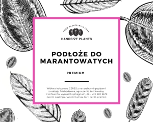 Podłoże "bigos" do marantowatych