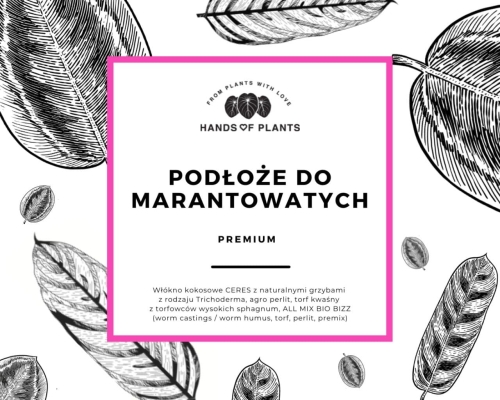 Podłoże "bigos" do marantowatych