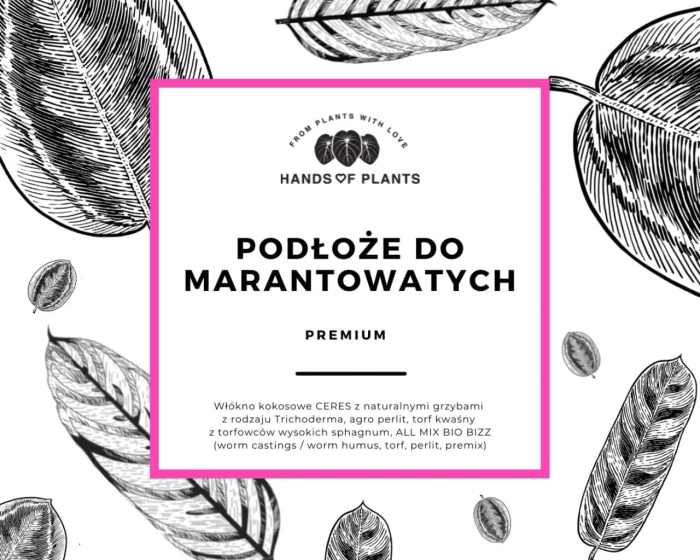 Podłoże do marantowatych