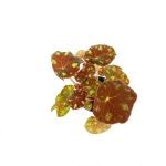 Begonia Tiger S