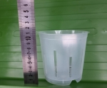 Doniczka transparentna - 11 cm
