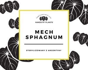 Mech sphagnum Premium (1)