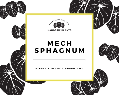 Mech sphagnum Premium (1)