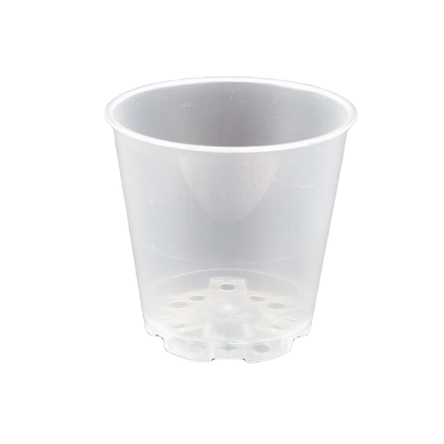 Doniczka transparentna - 6 cm