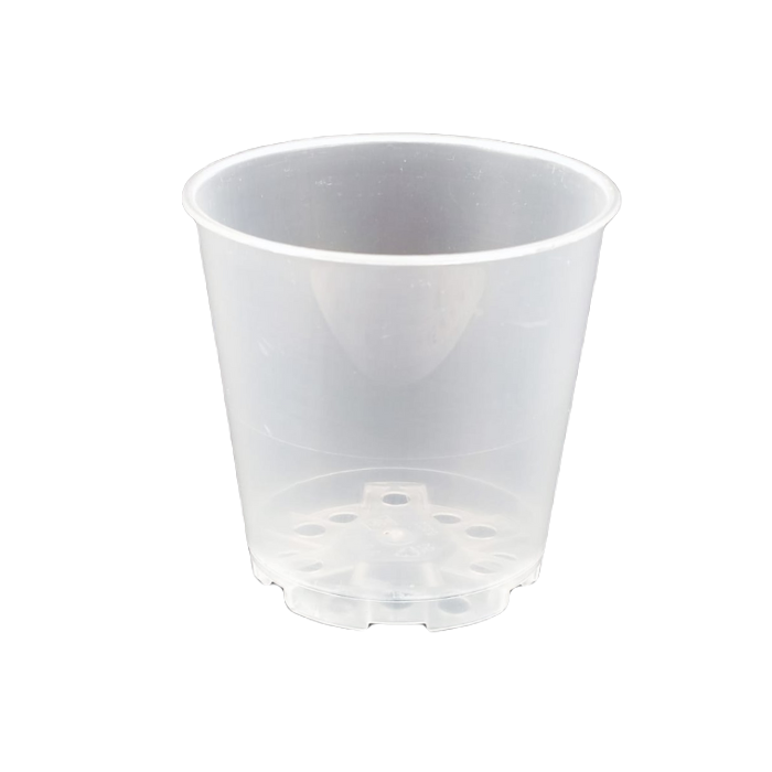 Doniczka transparentna - 6 cm