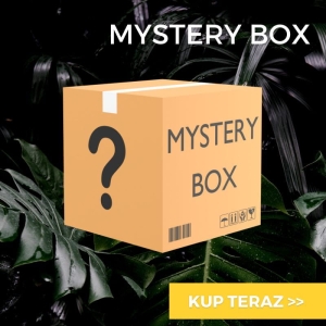 Mystery box - dla średnio zaawansowanych