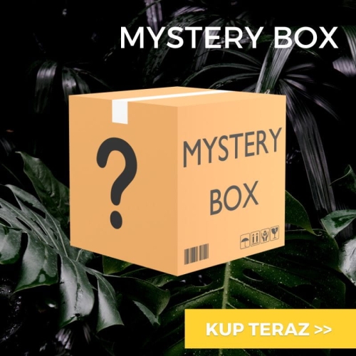 Mystery box - dla średnio zaawansowanych
