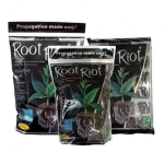 Kostki gąbki torfowe do sadzonek / klonów - Root Riot