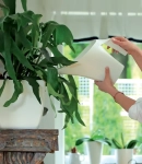 Konewka ogrodowa Coubi  IDUKON2 - 2L