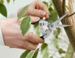 Nożyczki sprężynowe do przycinania roślin Spring Scissors - Herbgarden