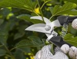 Sekator ogrodniczy Garden Secateurs - Herbgarden