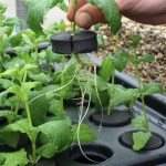 Propagator Aero/Hydro NC X-Stream 20 - Nutriculture