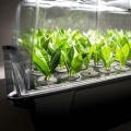 Propagator Aero/Hydro NC X-Stream 20 - Nutriculture