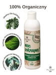 plant lover moc pokrzywy