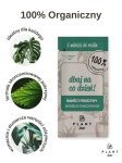 plant lover moc pokrzywy (1).jpg