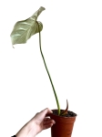 Projekt bez tytułu - 2023-04-28T182037.240.jpg