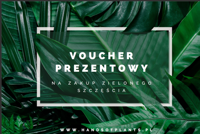voucher prezentowy