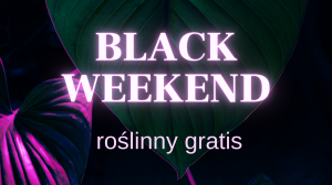 Roślinny gratis na BW