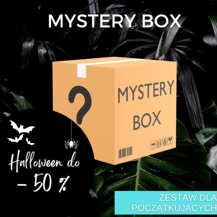 Mystery box - dla początkujących