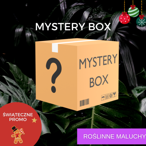 Mystery box - maluchy