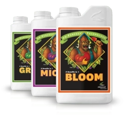 MICRO BLOOM GROW zestaw z formułą PH Perfect 3 x 1 l