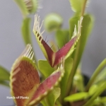 70fbe03d1332460bb50ad275efca2408