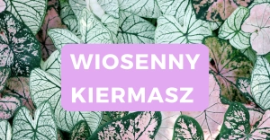  2.a.13 GALAXYFARM Miarka plastikowa 1000ml / 1L z podziałką