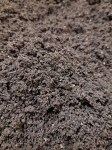 Worm castings, worm humus BIO BIZZ